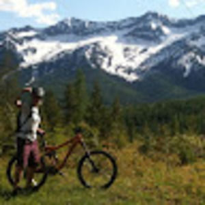 Meet your Posher, Maggie